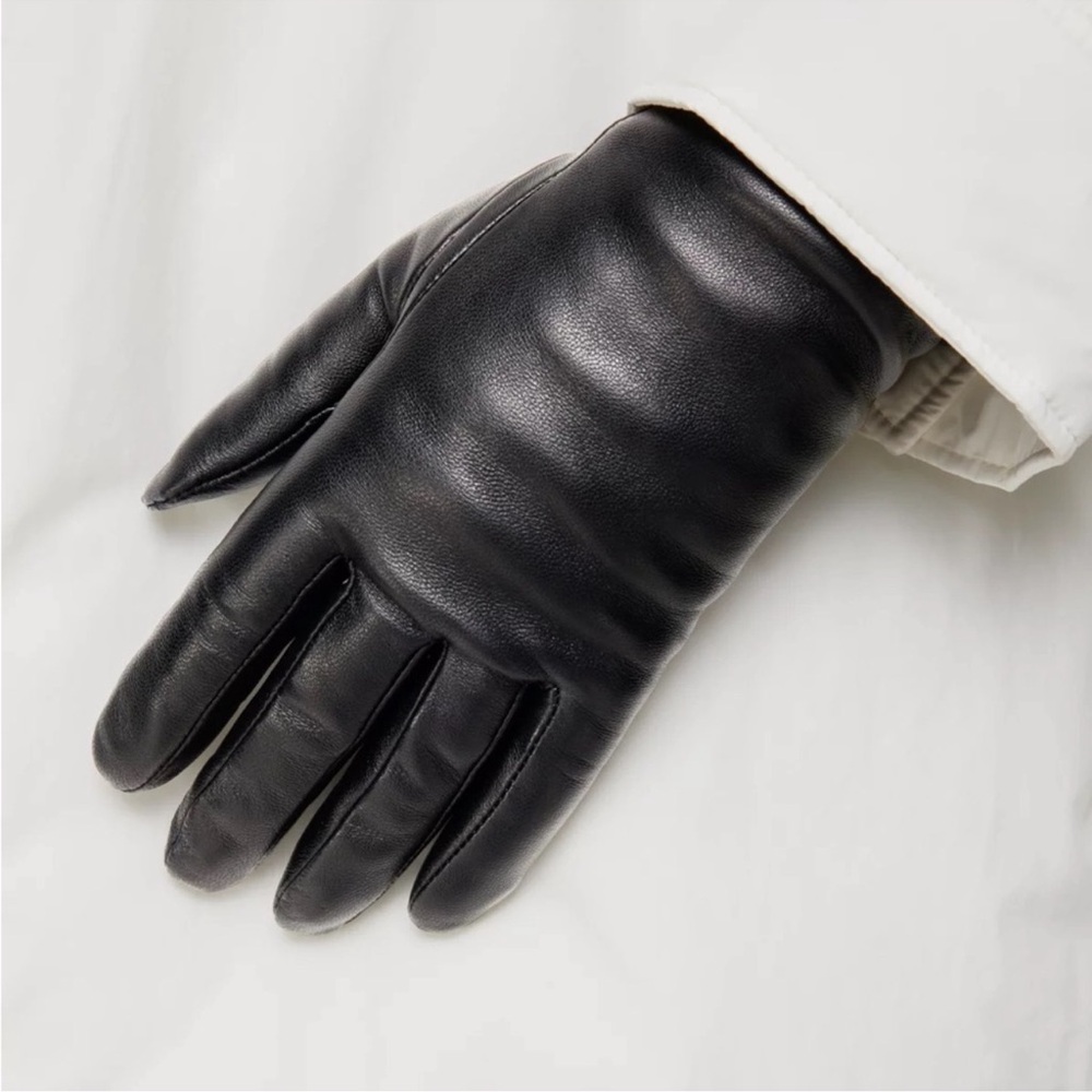 ARITZIA BABATON Clemins Leather Gloves